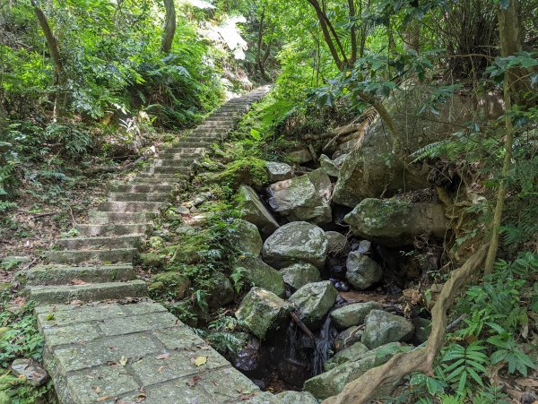 冷門的鵝尾山步道。熱門的坪頂古圳1766052