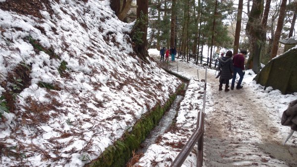 日本山形山寺649165