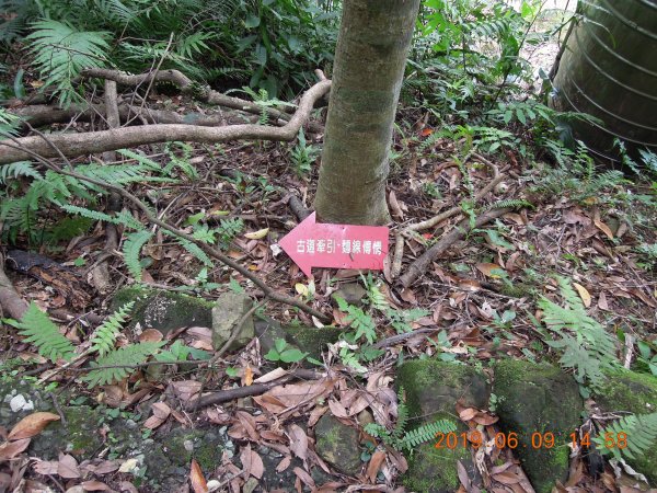 20190609_月扇湖山841496