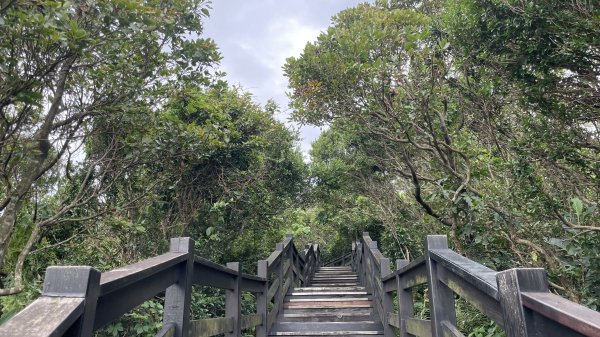 基隆的十八傘人家族2782871