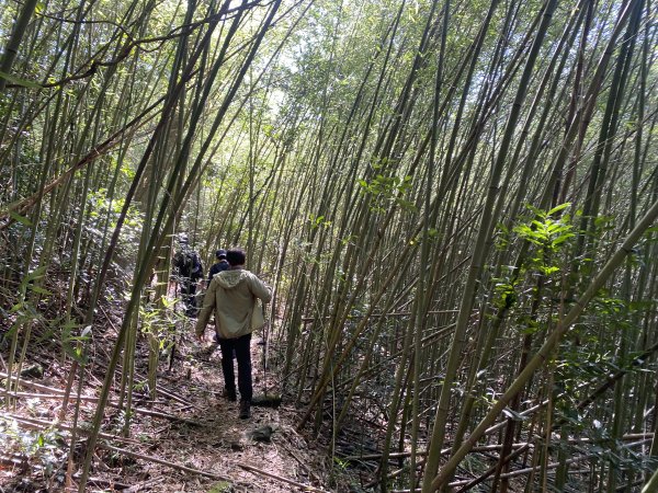 2025微笑山線大縱走尋寶集章任務-Ep.04【天上山系】望月亭桐花段｜石門內尖山東峰 ×石門內尖山2979169