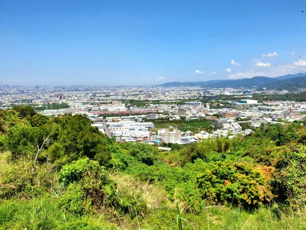 彰化大村落羽松秘境，橫山，台74甲公路夜景，台中阿罩霧山，猴探井步道，天空之橋1843481