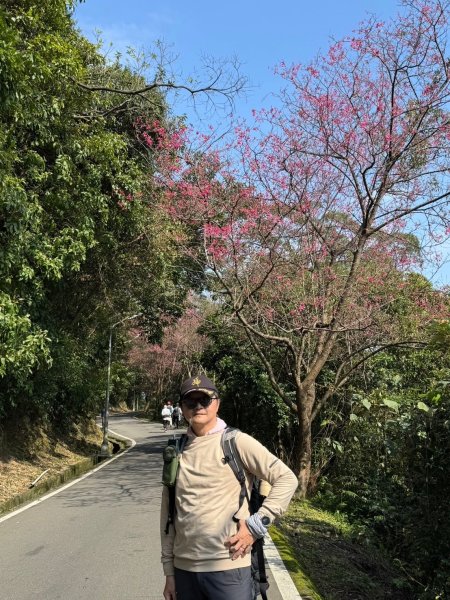 2025-0204 鶯歌_大凍山_三角埔頂山_迴龍2708041