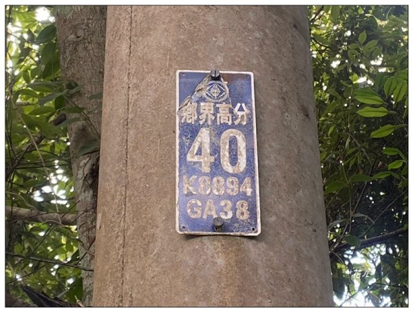 澀水森林步道、水上瀑布2846772