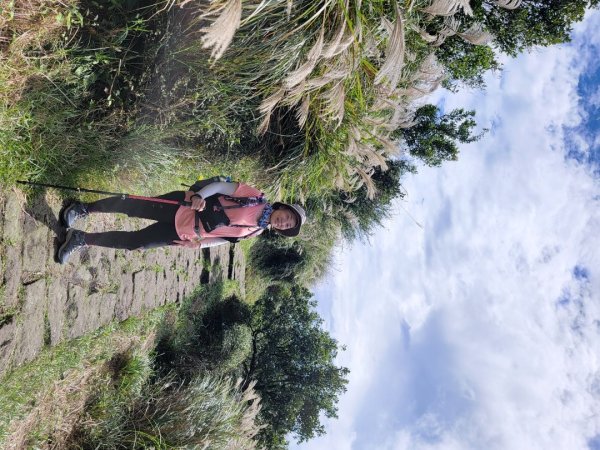 苗圃-七星山主,東峰-大屯山主峰-二子坪-202410262859677