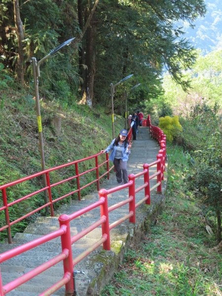 仙山登山步道O形走+小百岳No.33仙山2715834