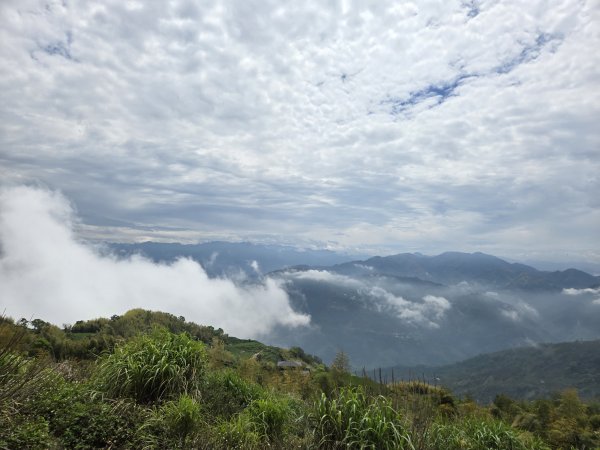 雲嘉大尖山2871292