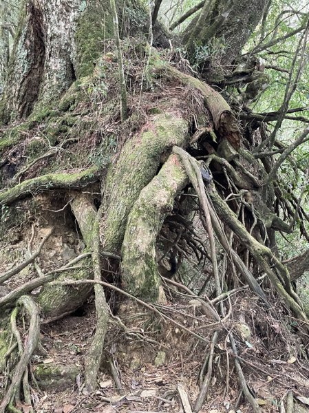 霞喀羅古道2676923