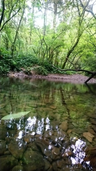 璀璨百年淡蘭古道～象寮古道、石空山、坪溪古道、梗枋古道O走1339402