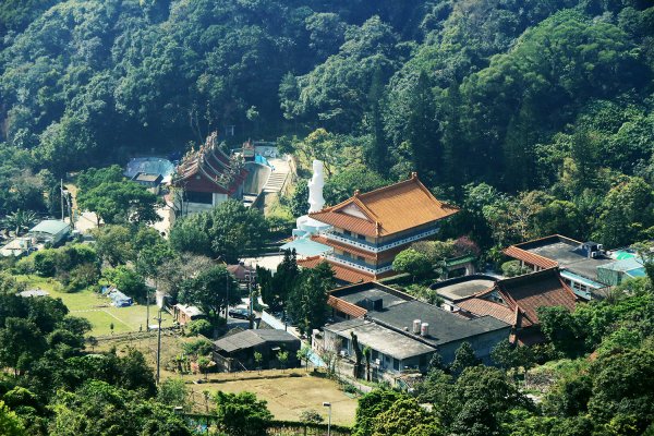忠勇山。鯉魚山535896
