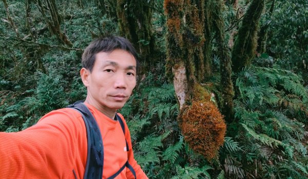 茶仁山單攻2025年4月4日2753369