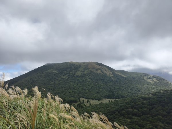[百山百鳥尋旅-11/15] 2025_0927 大屯主峰-連峰步道_大屯山西峰2899470