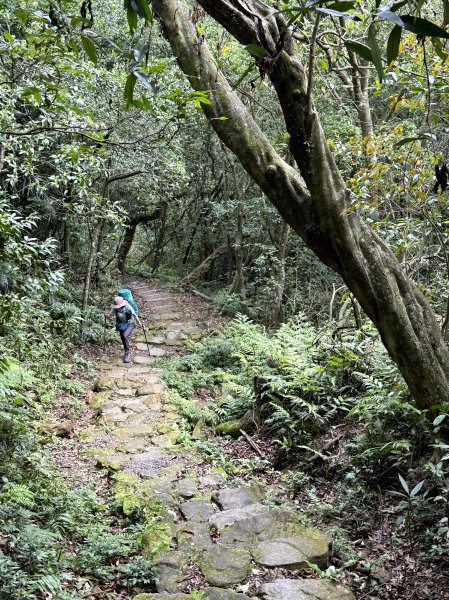 淡蘭古道 中路 全段 三日 2025/05/31~06/022810880