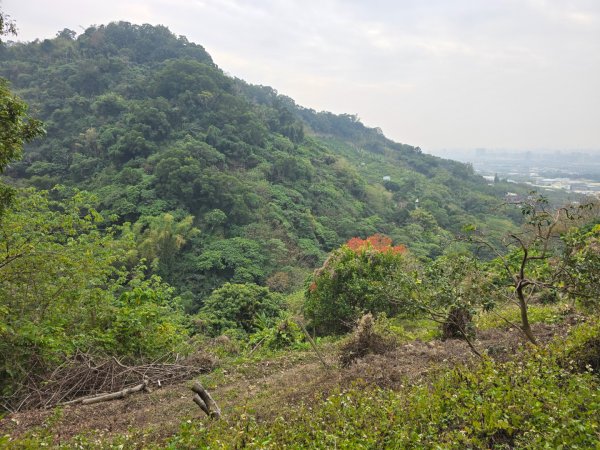 林牛山+聚興山2709922