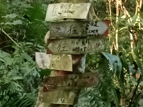 頭城鎮外澳車站+石空古道+太和山步道+蛇頭觀景台+象寮古道+烏山古道+外澳車站O型3018456