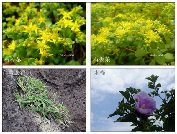 基隆嶼/燈塔步道634557