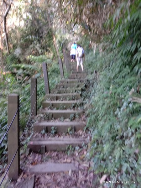  步道巡訪員 l 崁頭山步道12月份巡禮1204891