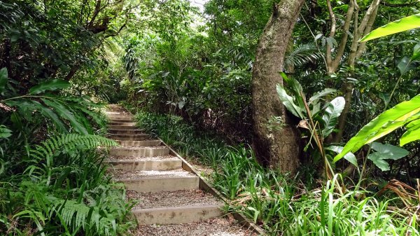 福州山,中埔山,黎和生態公園2234127