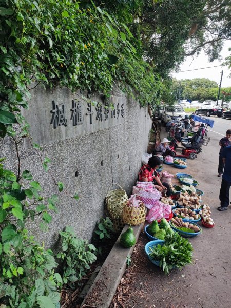 楓櫃斗湖步道 - 2023觀音觀鷹尋寶任務2251321