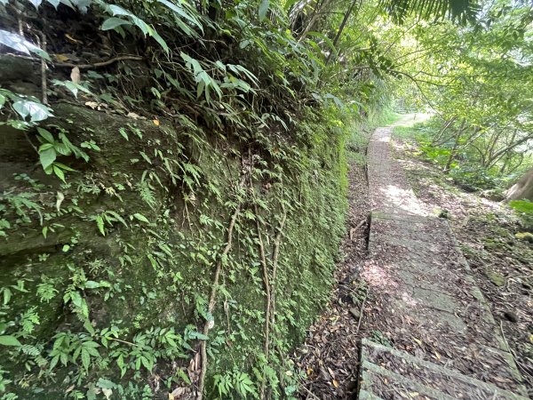 [微笑山線_第九段] 2025_0914 二格山系_皇帝殿西峰2889789