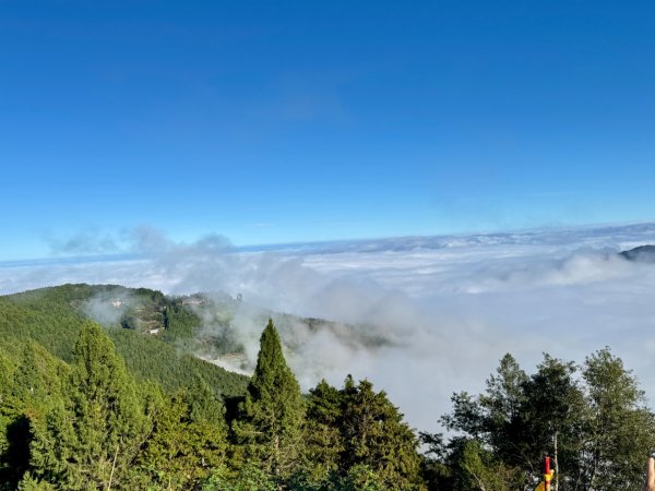 觀霧-榛山步道2925991