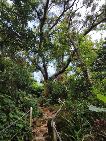 臺北大縱走第一段：關渡至二子坪2790226