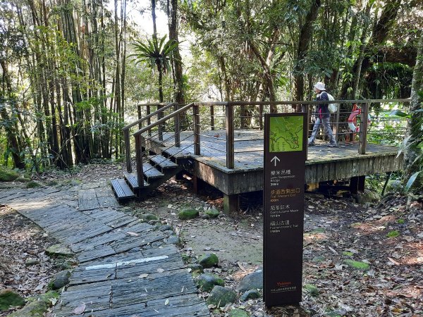 《嘉義》靜謐森林｜迷糊步道+福山古道202101231245318