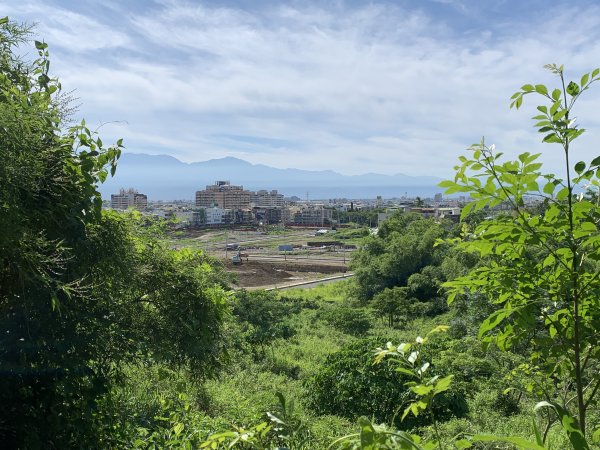 20250628高雄望雲山-尚書林山2826299