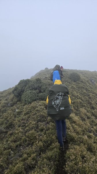 20241124-1130 南二段10座百岳2665354