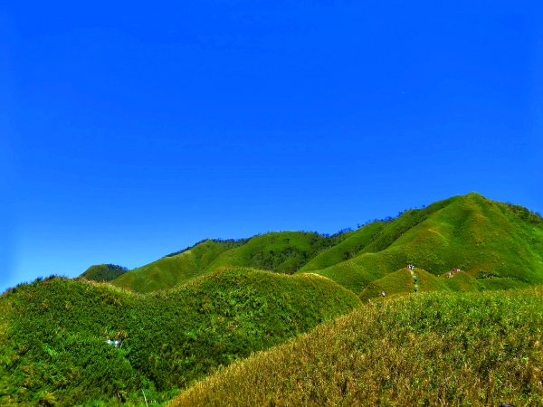 走聖母與三角崙山步道 再探神級抹茶山698503