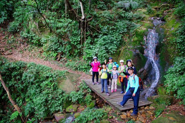 燦光寮古道與黃金三稜554332