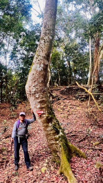 🌈1/11（日）六龜警備道~小百岳~鳴海山×網子山✨FB：熊熊趴爬走🌈2980546
