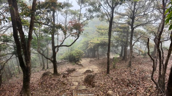 【海外健行】香港四徑 The Four Trails3031662