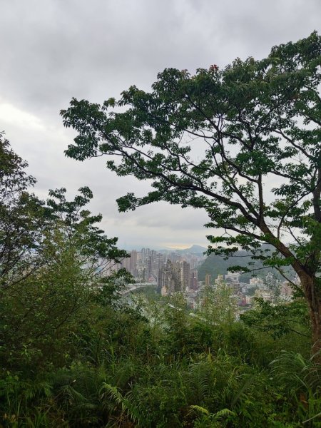 微笑山線之新店和美山-銀河洞2847784