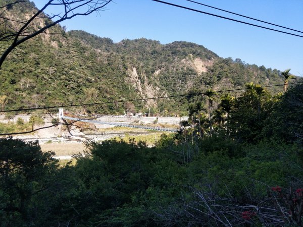 步道巡訪員│白毛山步道2月巡訪日誌848068