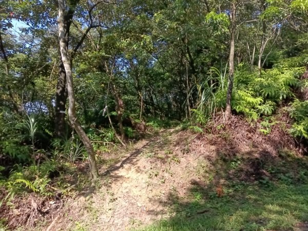 汐止區金明山B線+如意湖O型2860230