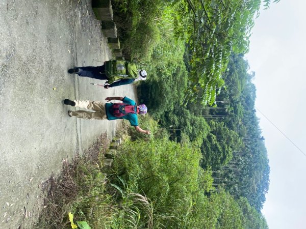 1111007雲嘉五連峰2652971