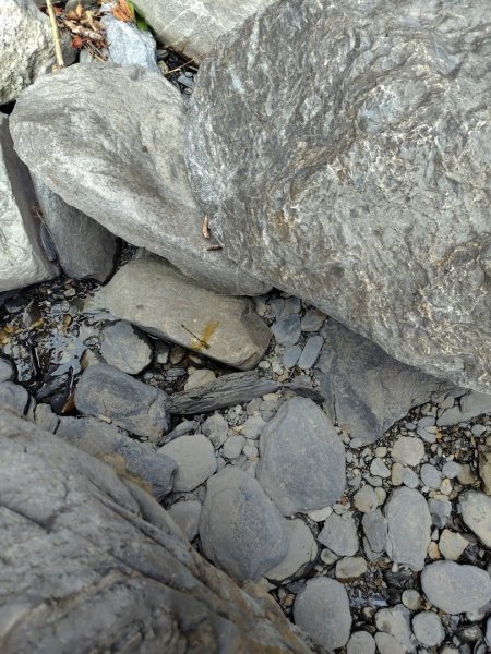 朝聖橋-射鹿部落-高燕部落-旗鹽山-排雲瀑布-沙拉灣瀑布2771046