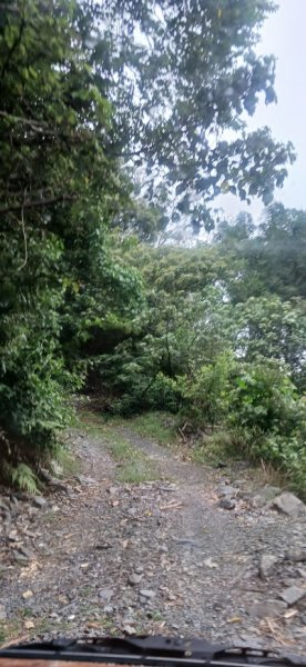 2025 4/5 加奈美山2754444