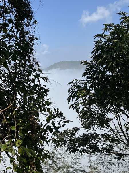 小百岳-集集大山2708180