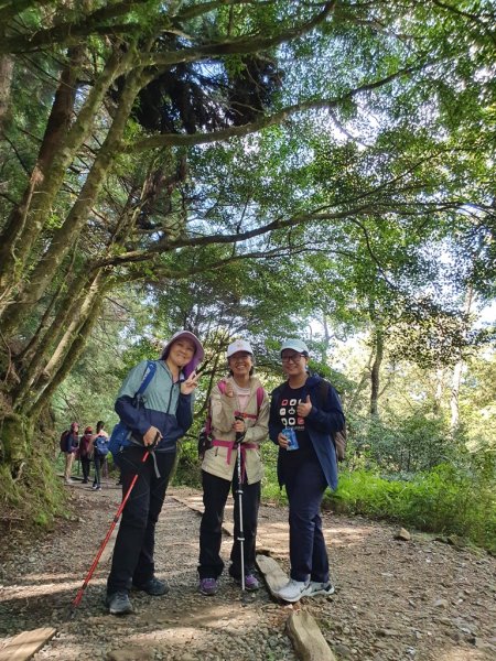 【阿里山】特富野古道1093705