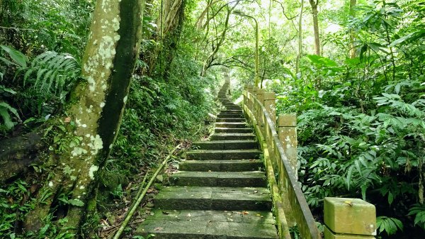 豹山環型步道2226660