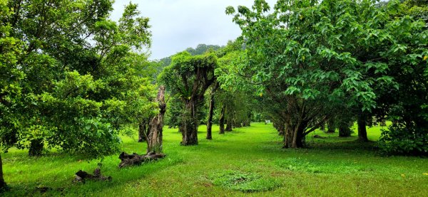 炮子崙瀑布，炮子崙古道，土庫岳，山豬窟尖，小南港山，山水綠生態公園，汐止三秀山，拱北殿後山步道2170004