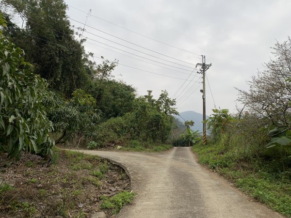 20250129高雄塔羅留山-塔羅留山南峰-他果晏山2705276