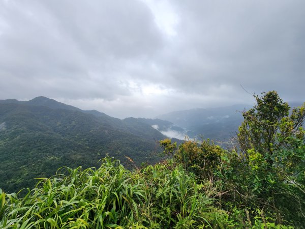 20260308柴寮古道與中坑古道3037798