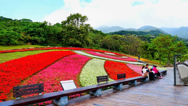 北投社三層崎3010984