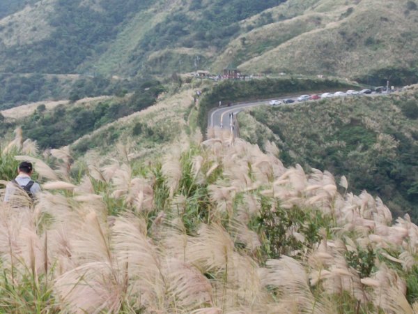 雙溪區不厭亭+草山公路+牡丹山+不厭亭+金字碑古道(探幽亭)+三貂崙+不厭亭8字走2941896