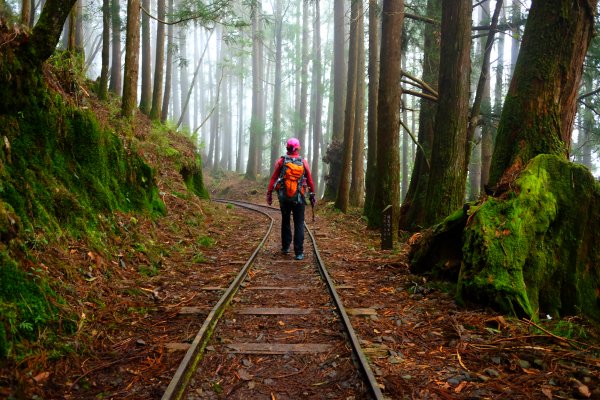 迷霧幽幽~特富野古道691937