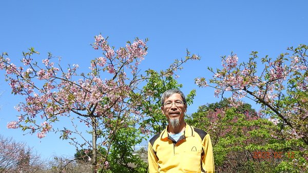 山羊阿公陽明山賞花趣2027476