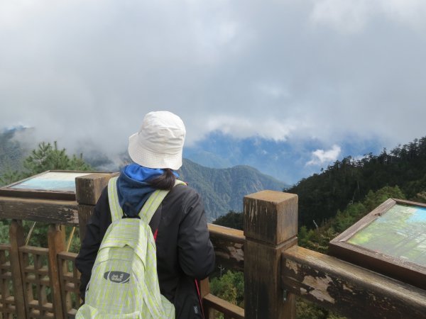 大雪山森林遊樂區觀鳥賞景20190105498314